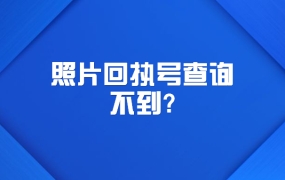 照片回执号查询不到?
