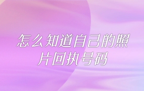 怎么知道自己的照片回执号码