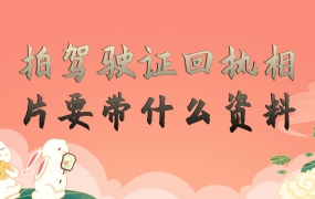 拍驾驶证回执相片要带什么资料