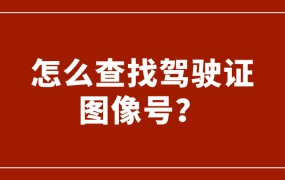 怎么查找驾驶证图像号