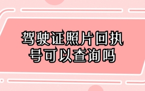 驾驶证照片回执号可以查询吗