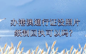 办理港澳通行证没有照片纸制回执可以吗