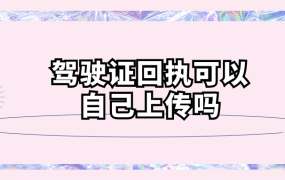 驾驶证回执可以自己上传吗