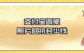 支付宝驾驶照片回执多少钱