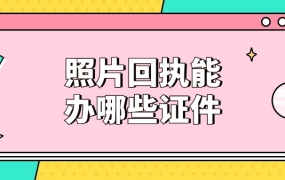 照片回执可以办理哪些证件