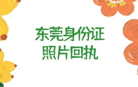 东莞身份证照片回执单办理