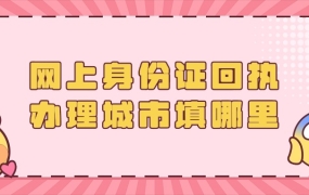 网上身份证回执办理城市填哪里