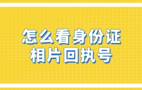 怎么看居民身份证数字相片回执号