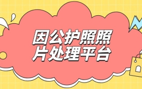 因公护照照片处理平台